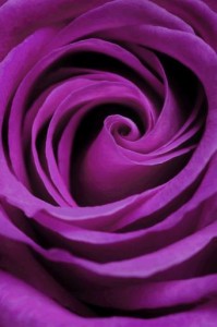 320175_414067311985930_1484410628_n